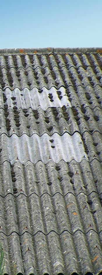 Toxicité et risque pour la santé